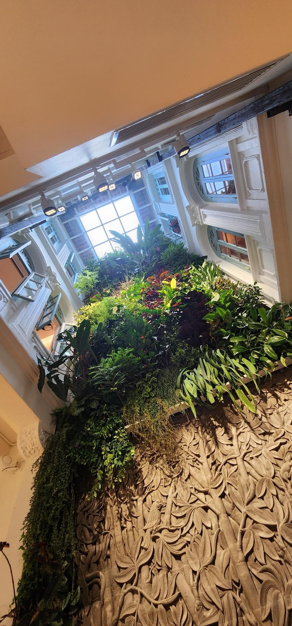 Lush green courtyard inside a shophouse